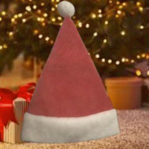 Santa Hat - One Size Fits Most